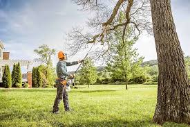 How Our Tree Care Process Works  in  Honey Grove, TX